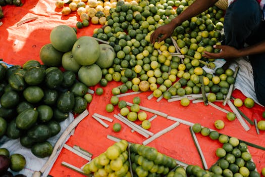 colorful array of healthy snacks