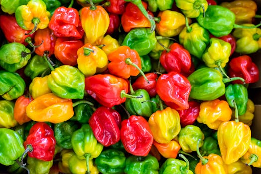 variety of colorful ingredients for energy bites