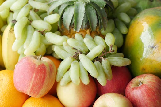 nutritious vegan snack assortment